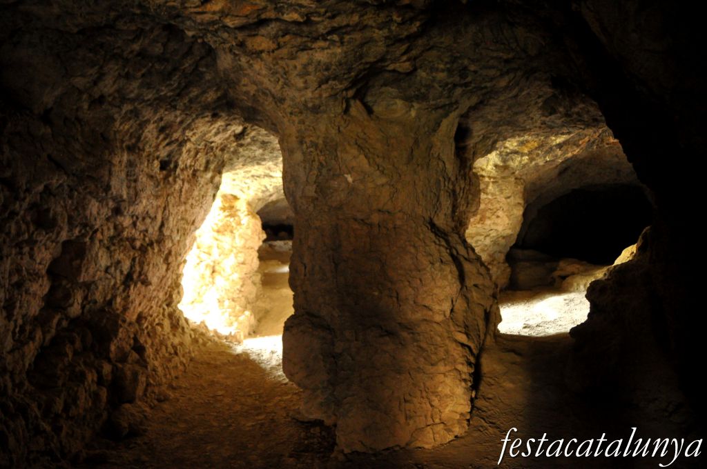 Castellolí - Coves de Can Llucià i de la Font del Ferro