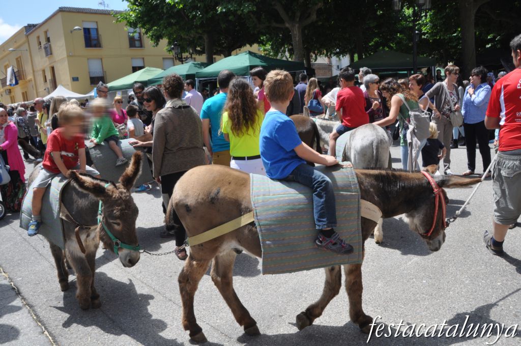 Fira de l'Ou de Sant Guim de Freixenet
