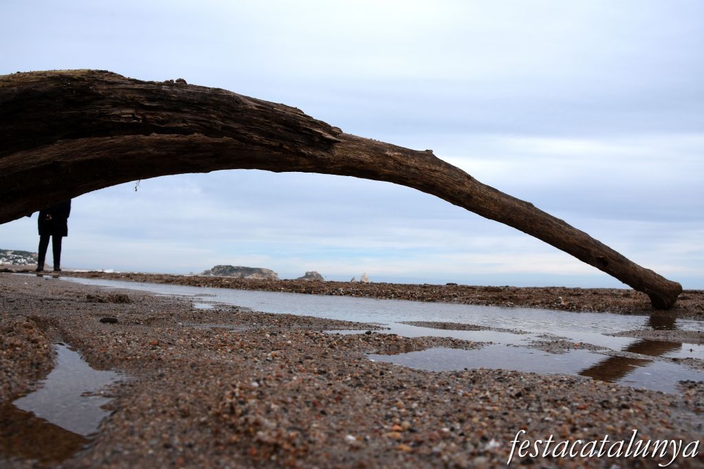 Torroella de Montgrí-L'Estartit - La Gola del Ter