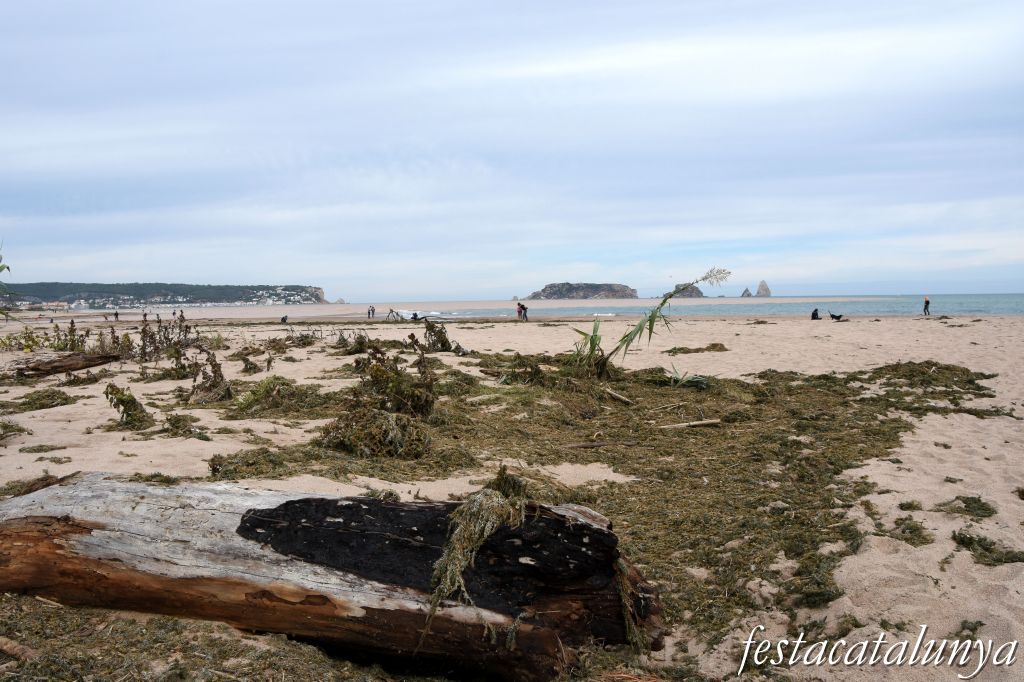 Torroella de Montgrí-L'Estartit - La Gola del Ter