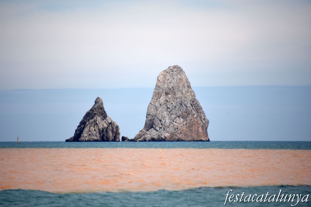 Torroella de Montgrí-L'Estartit - La Gola del Ter