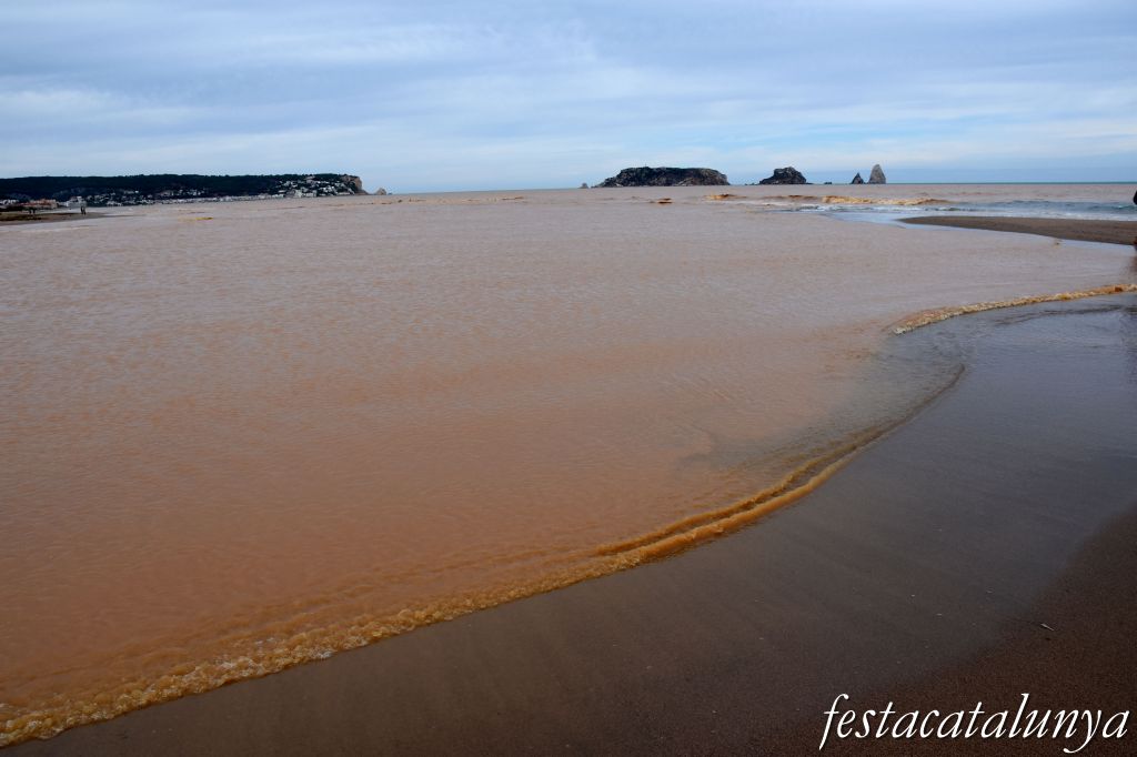 La Gola del Ter a Torroella de Montgrí-L'Estartit ***