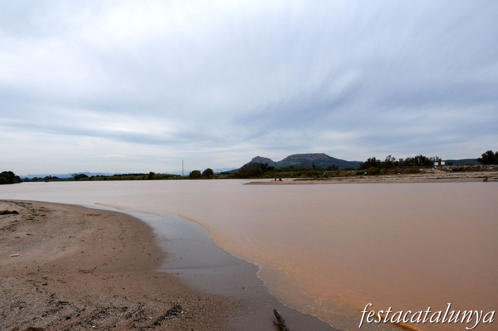 Torroella de Montgrí-L'Estartit - La Gola del Ter
