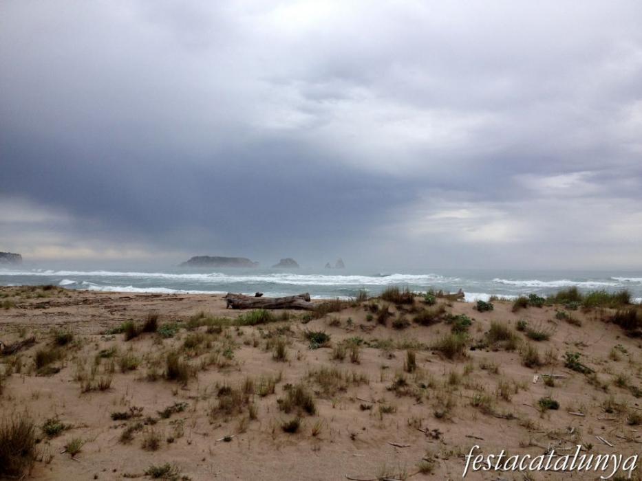 Torroella de Montgrí-L'Estartit - La Gola del Ter
