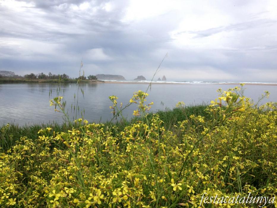 Torroella de Montgrí-L'Estartit - La Gola del Ter