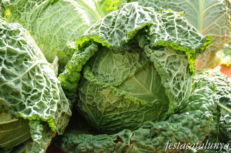 Fira de la Col de la Roca del Vallès