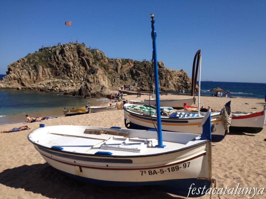 Sa Palomera de Blanes 