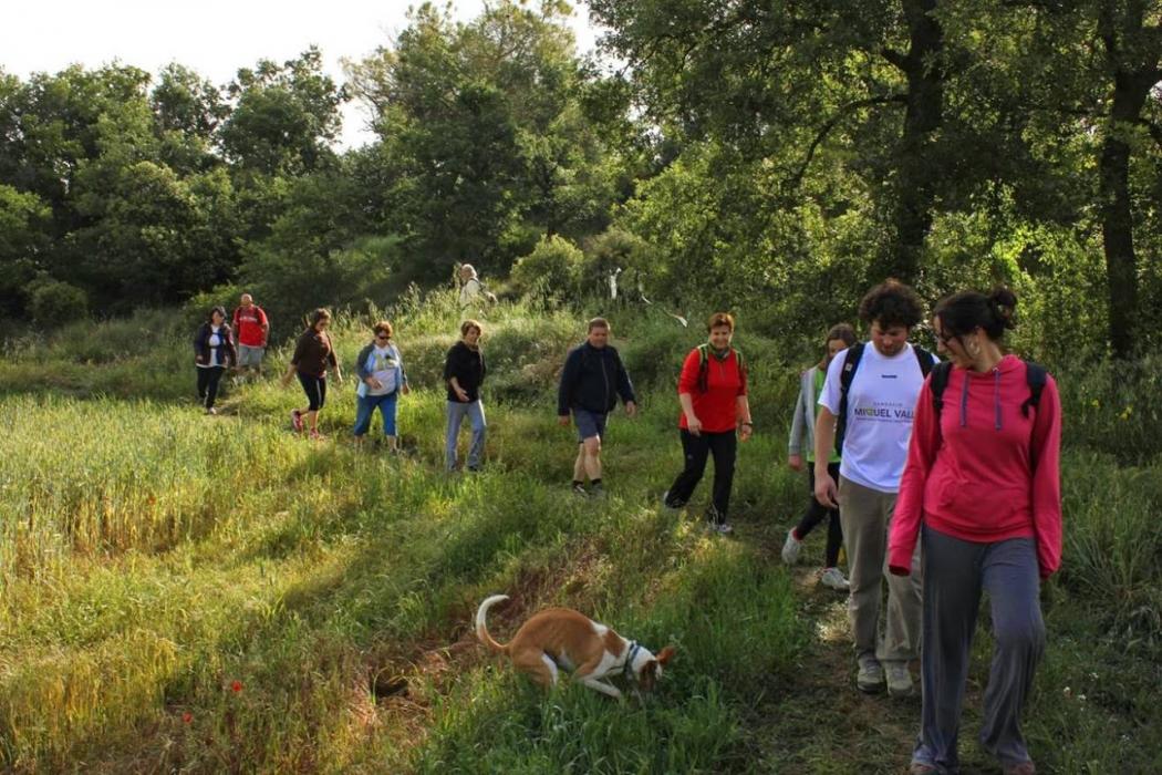 Caminada de la Marinada a Sant Guim de Freixenet
