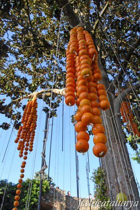 Girona Temps de Flors