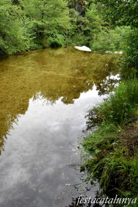 Maçanet de Cabrenys - Gorga de la Farga