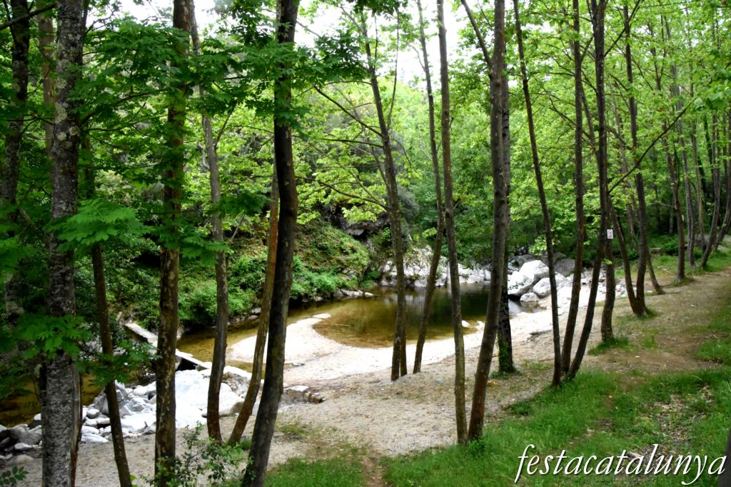 Maçanet de Cabrenys - Gorga de les Dones