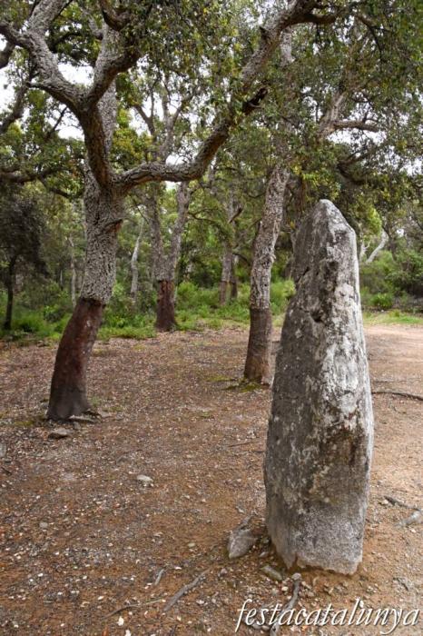Menhir de la Pedra Dreta de Maçanet de Cabrenys ***