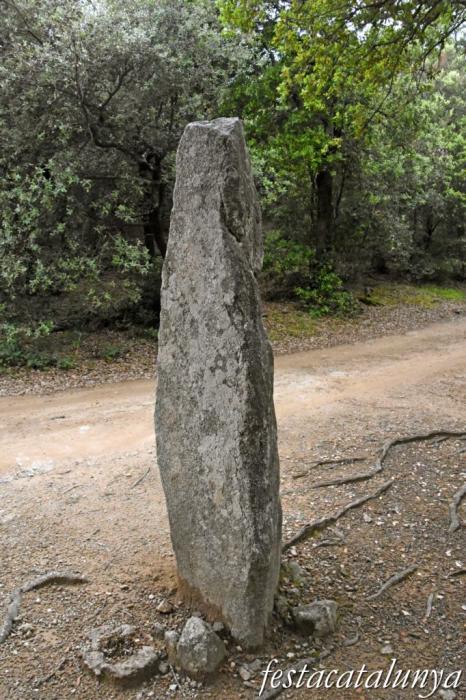 Maçanet de Cabrenys - Menhir de la Pedra Dreta