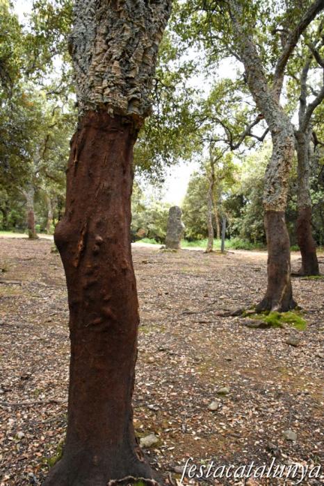 Maçanet de Cabrenys - Menhir de la Pedra Dreta