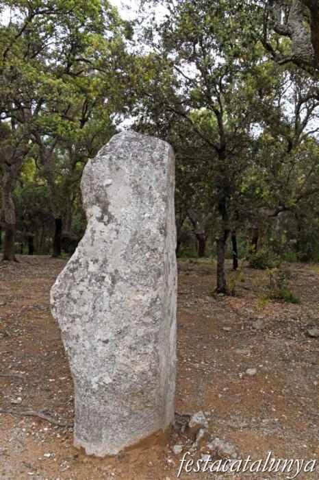 Maçanet de Cabrenys - Menhir de la Pedra Dreta