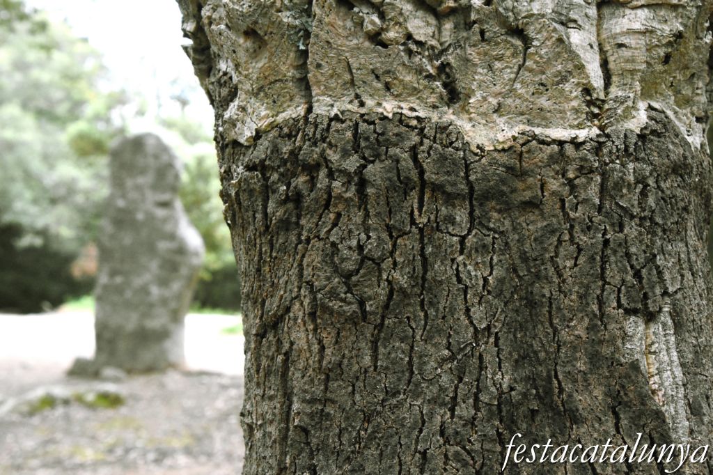Maçanet de Cabrenys - Menhir de la Pedra Dreta