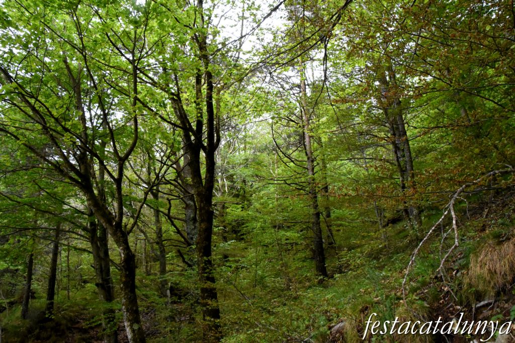 Maçanet de Cabrenys - Espai natural del massís de Les Salines