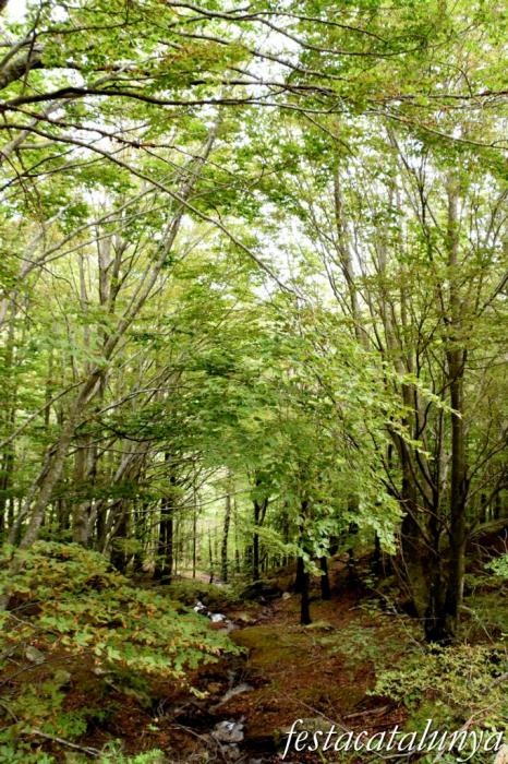 Maçanet de Cabrenys - Espai natural del massís de Les Salines