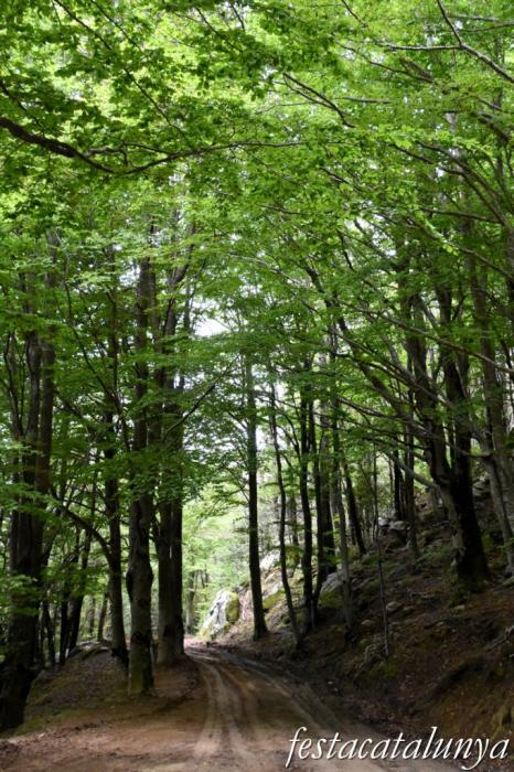 Espai natural del massís de les Salines a Maçanet de Cabrenys ***