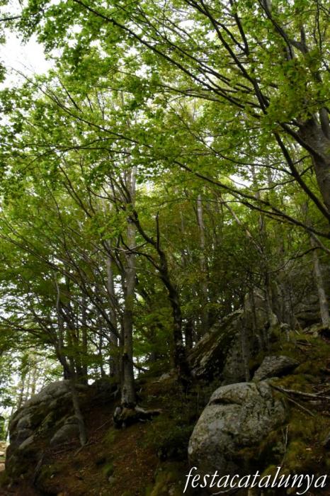 Maçanet de Cabrenys - Espai natural del massís de Les Salines