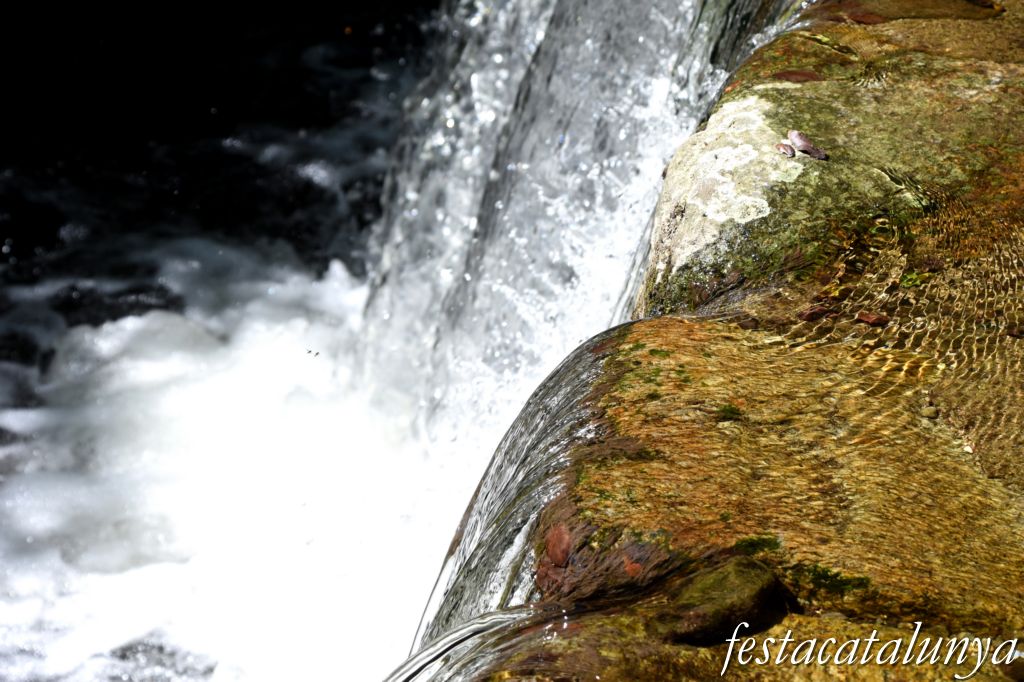 Maçanet de Cabrenys - Nucli antic - Martinet de la Cardona