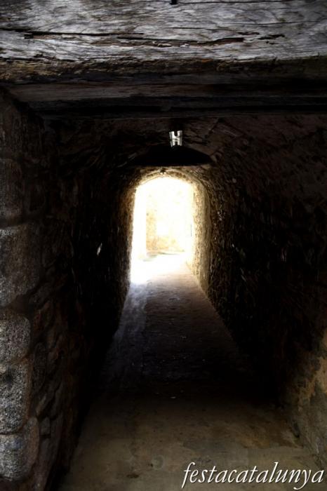 Maçanet de Cabrenys - Carrer la Borriana i entorn