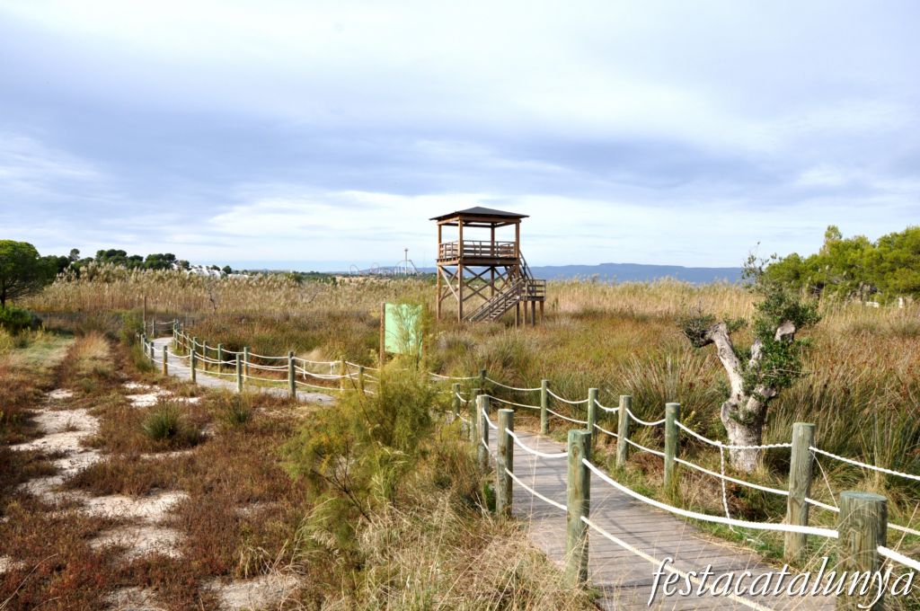 Séquia Major de Vila-seca