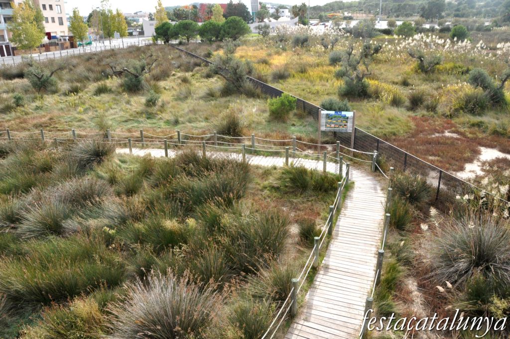 Vila-seca - Sèquia Major a la Pineda