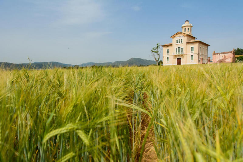 Visita Guiada: Torre Lluvià, una joia recuperada del modernisme manresà