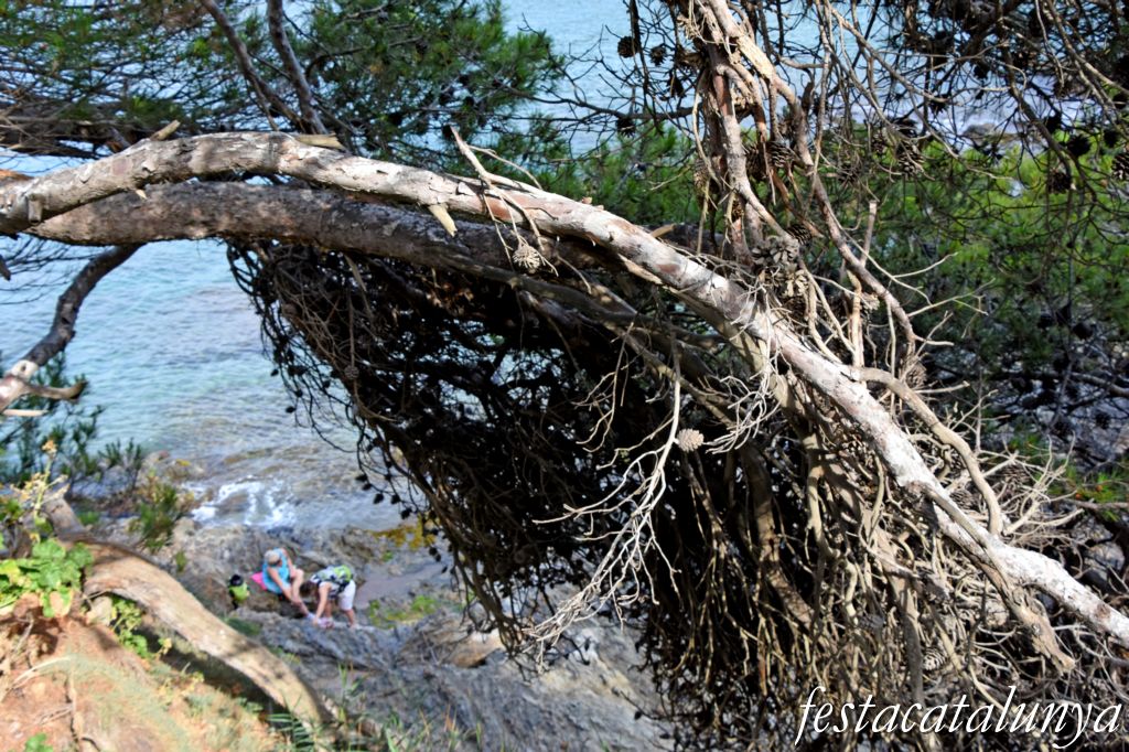 Begur - Camins de Ronda