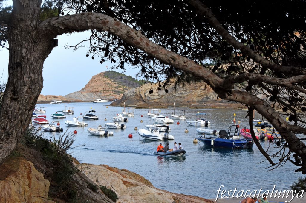 Sa Tuna i Aiguafreda ***