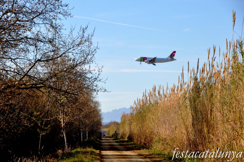 Espai Natural del Delta del Llobregat