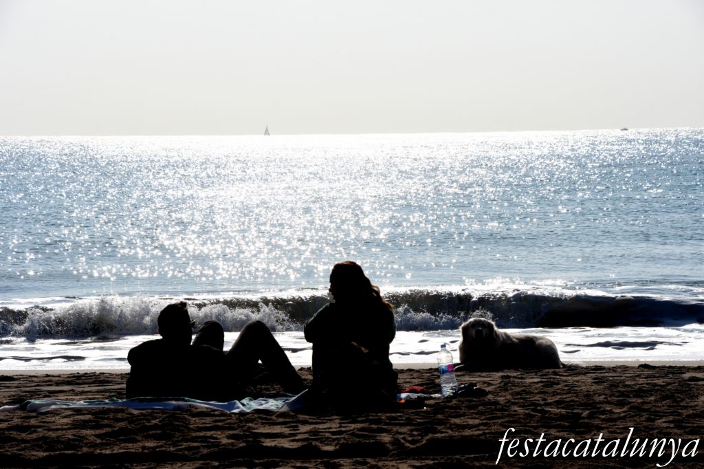 Platja de la Murtra de Viladecans