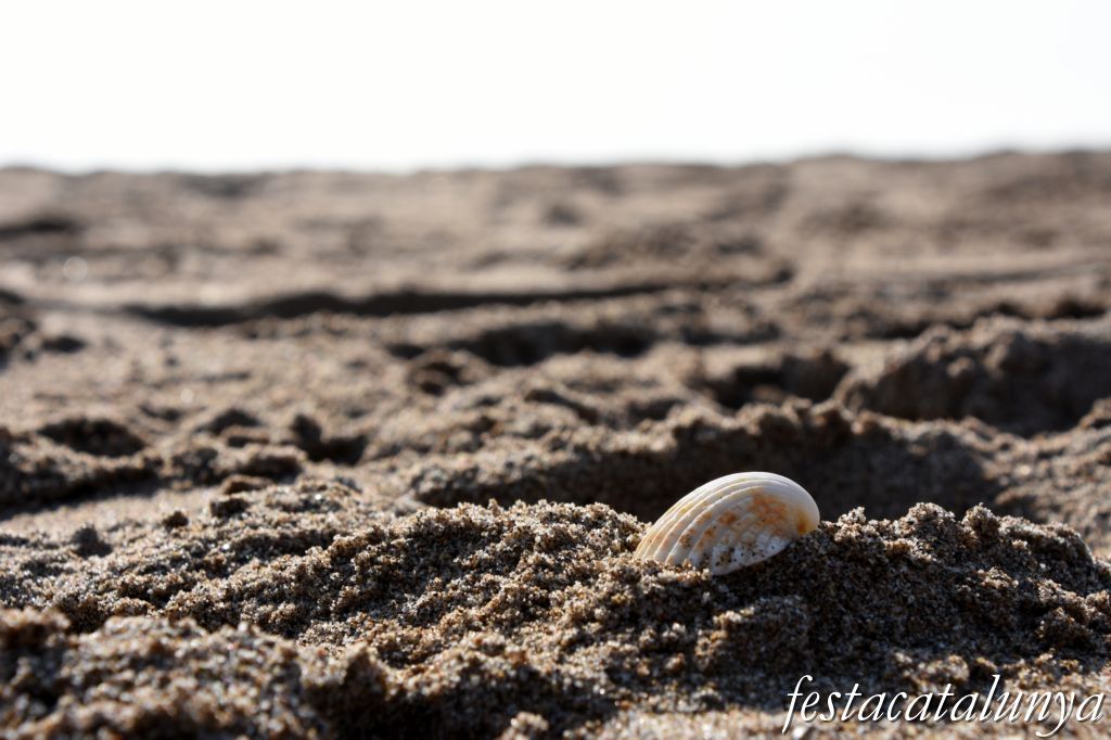 Platja de la Pineda de Viladecans