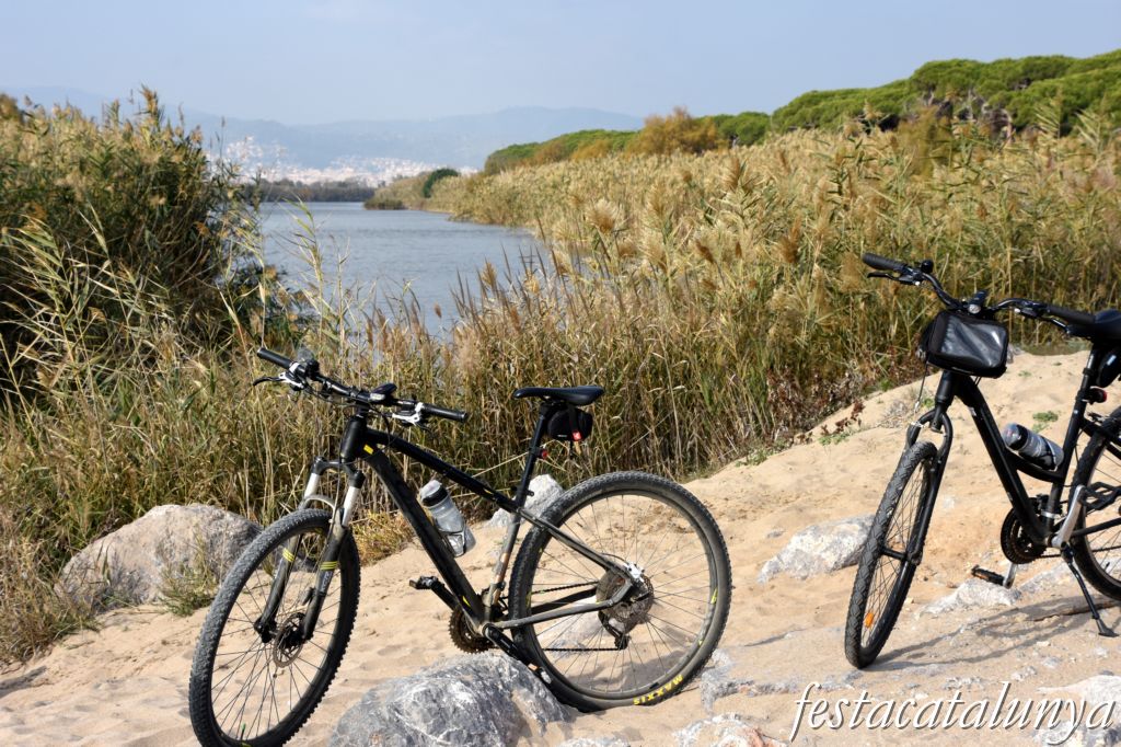 Platja de la Pineda de cal Francès de Viladecans