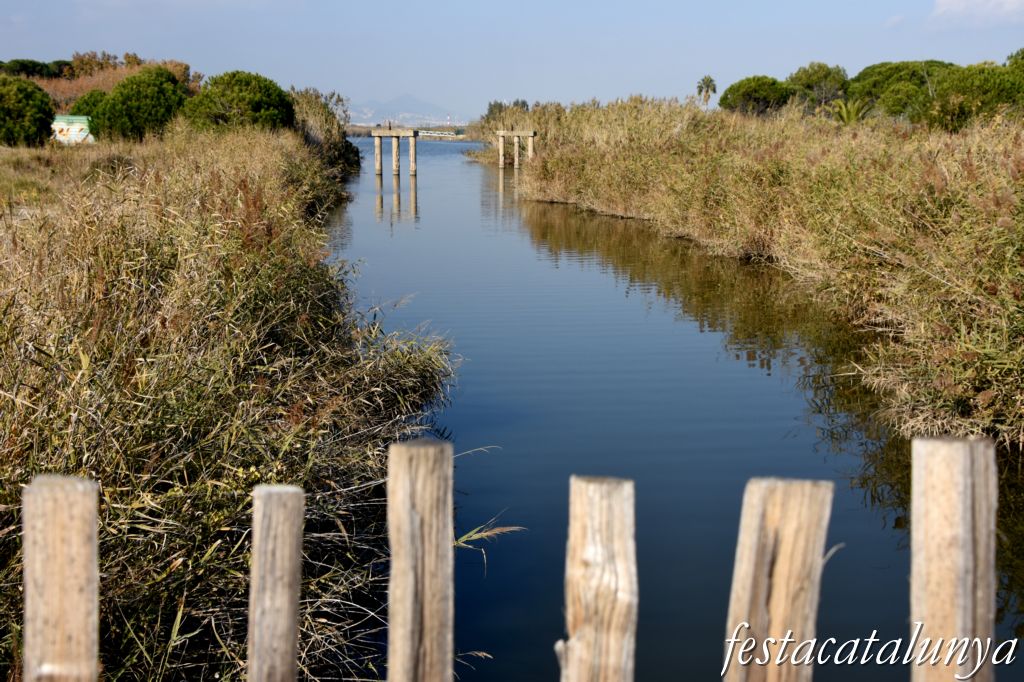Platja del Remolar de Viladecans