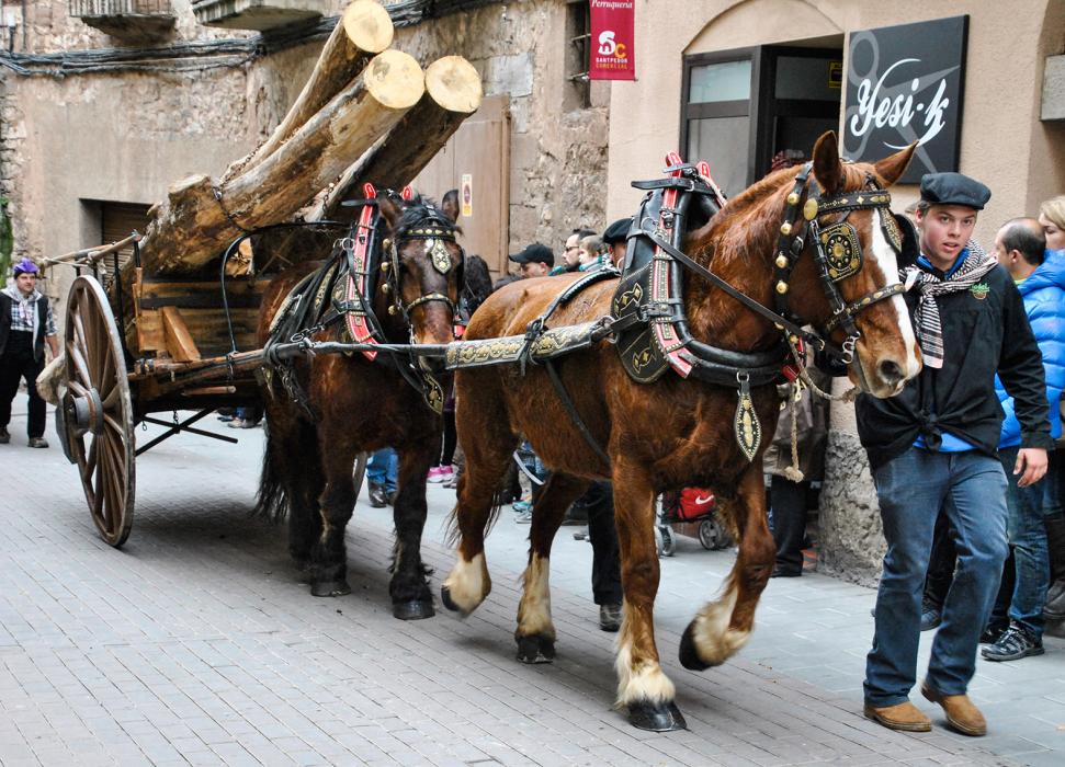 Festa de Sant Antoni de Santpedor
