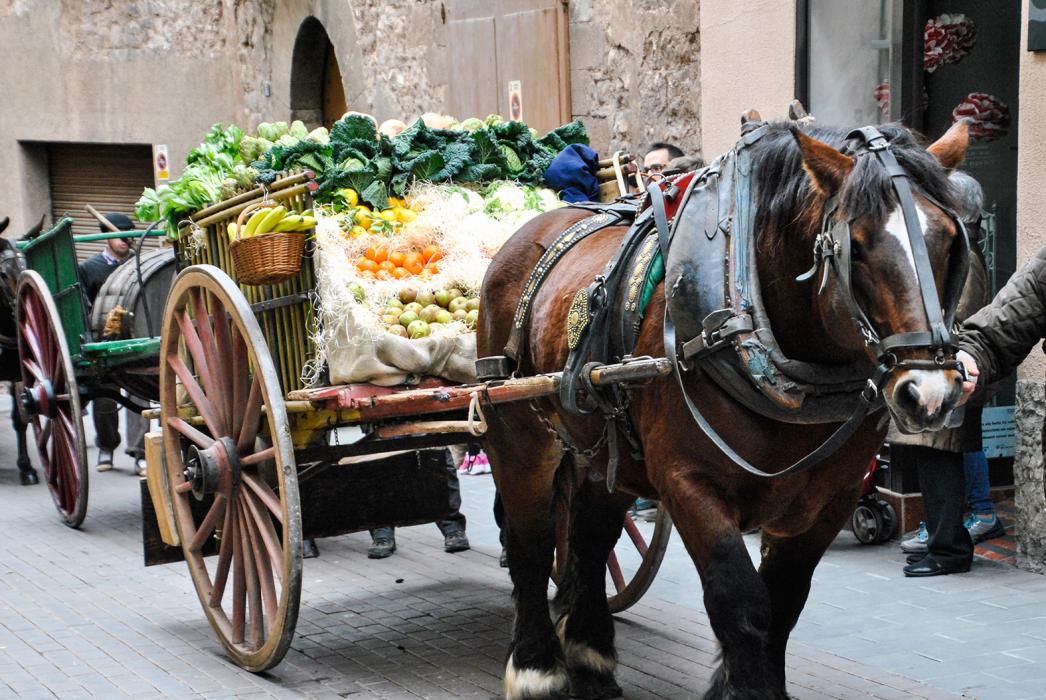 Festa de Sant Antoni de Santpedor