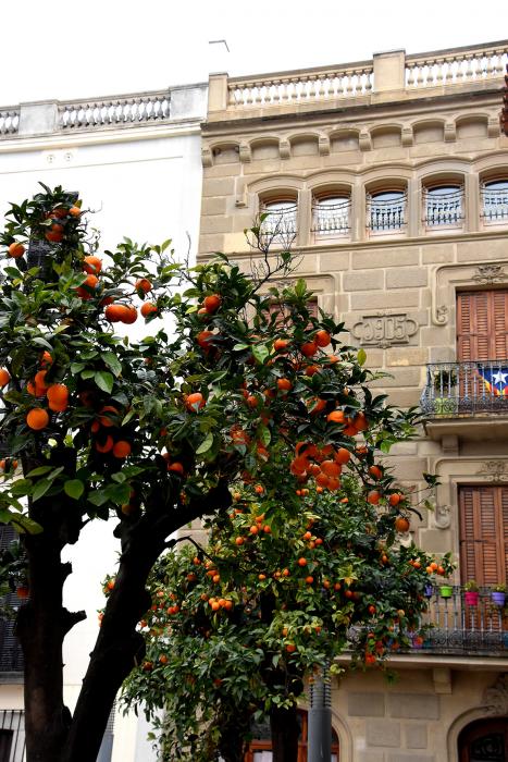 Vila Nova de Tossa de Mar