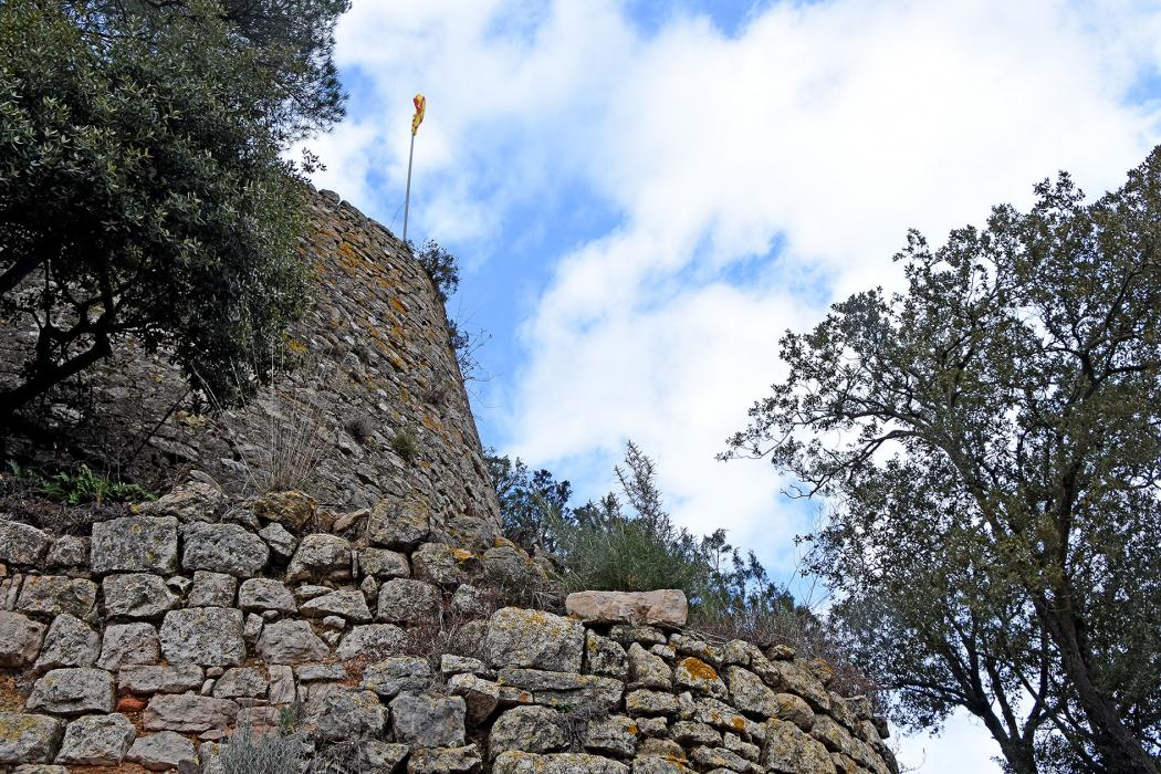 Castell de Vallespinosa
