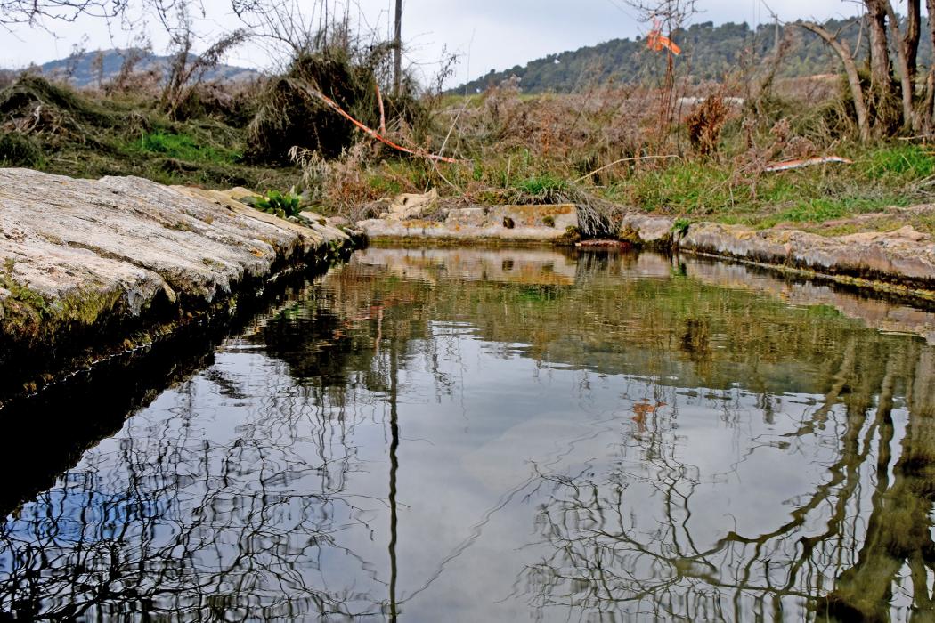 Font de Vallespinosa