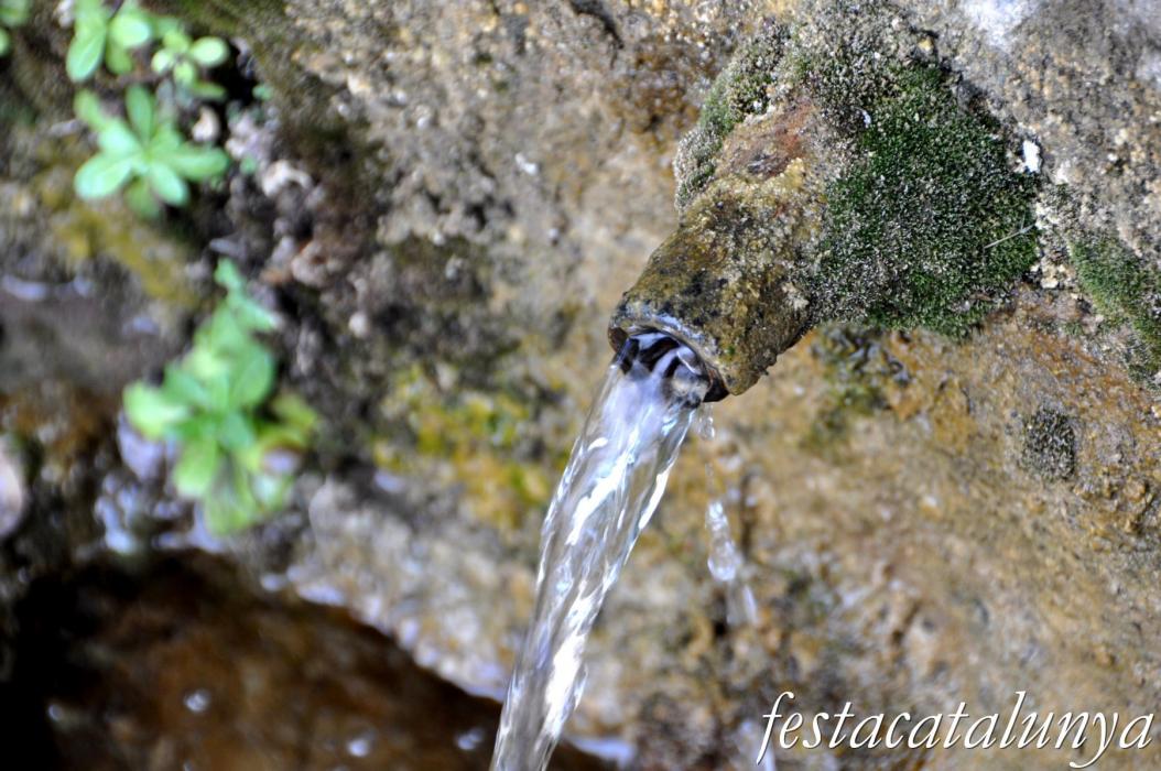 Font de Sant Francesc