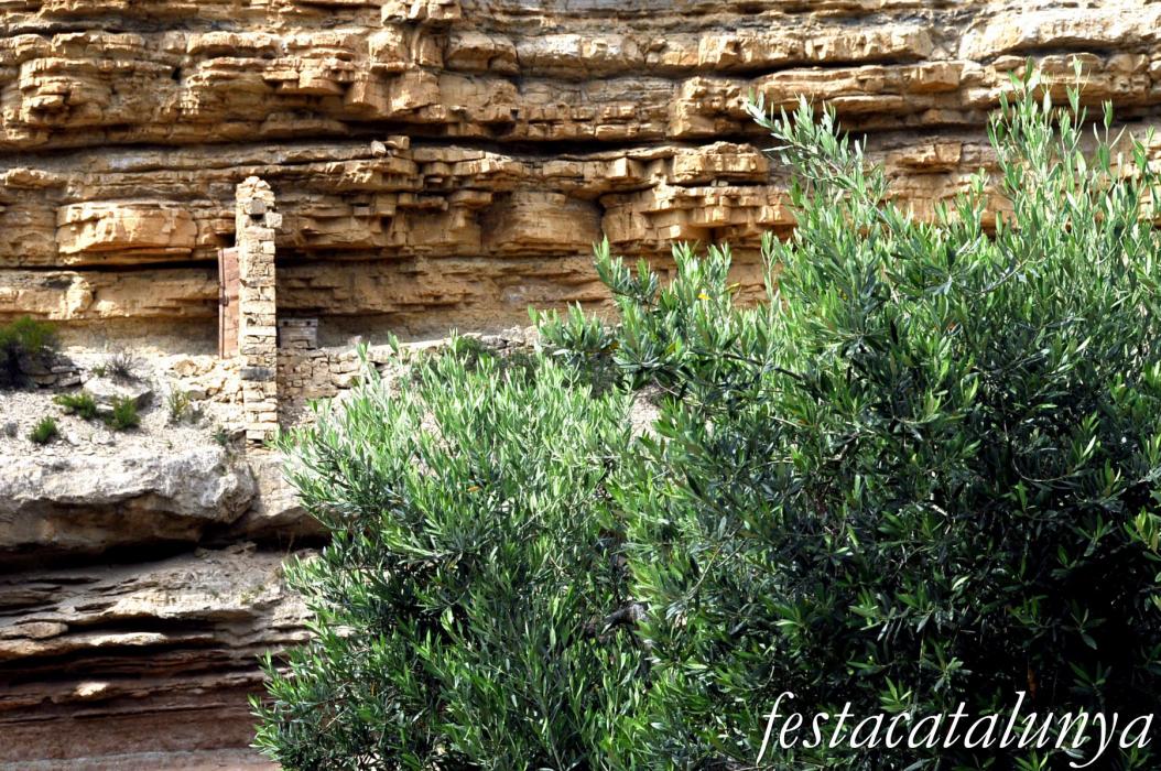 La Fatarella - Oliveres i paisatge