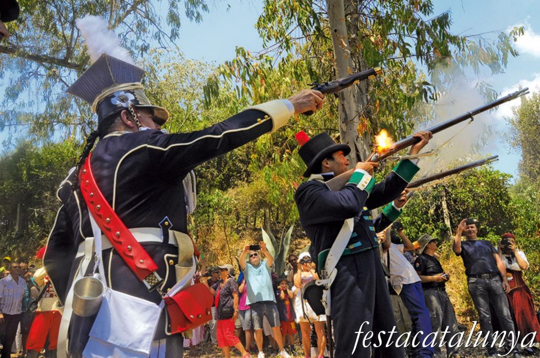 Festa del Timbaler del Bruc, la Fira de la Guerra del Francès