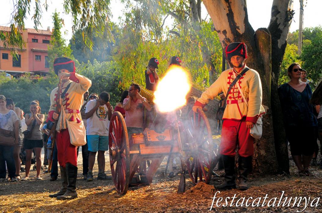 Festa del Timbaler del Bruc, la Fira de la Guerra del Francès