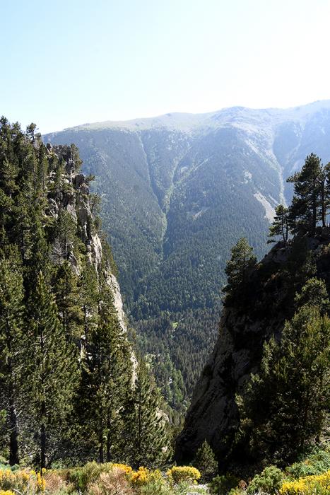 Mirador del Forat de l'Olla