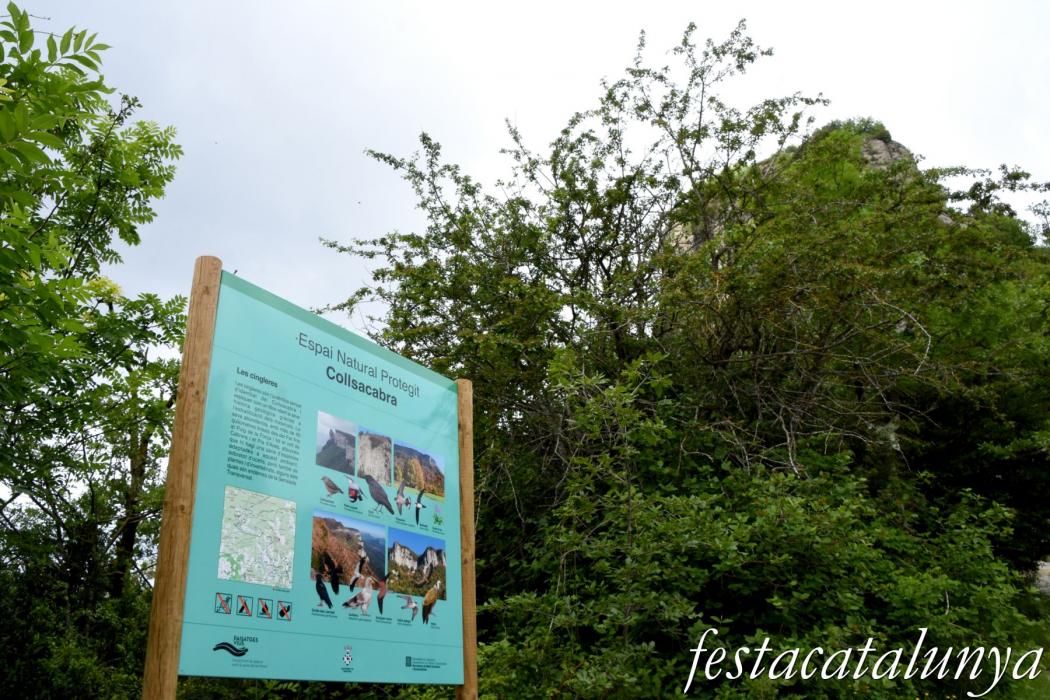L'Esquirol - Espai natural Collsacabra