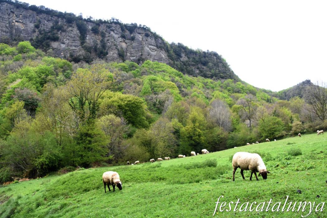 L'Esquirol - Espai natural Collsacabra