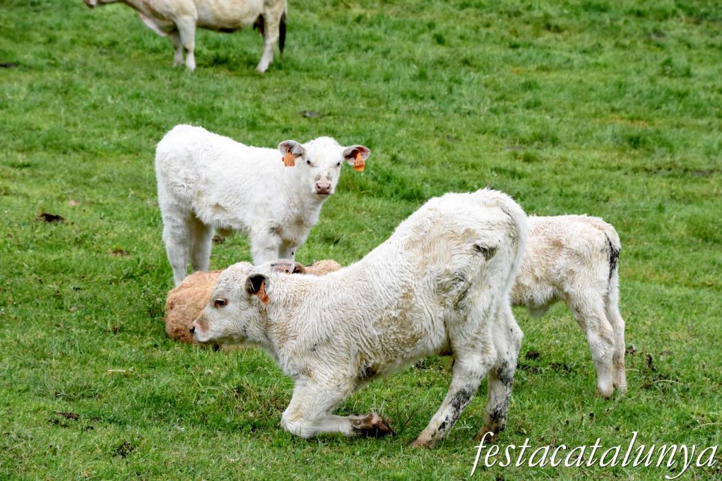 L'Esquirol - Espai natural Collsacabra