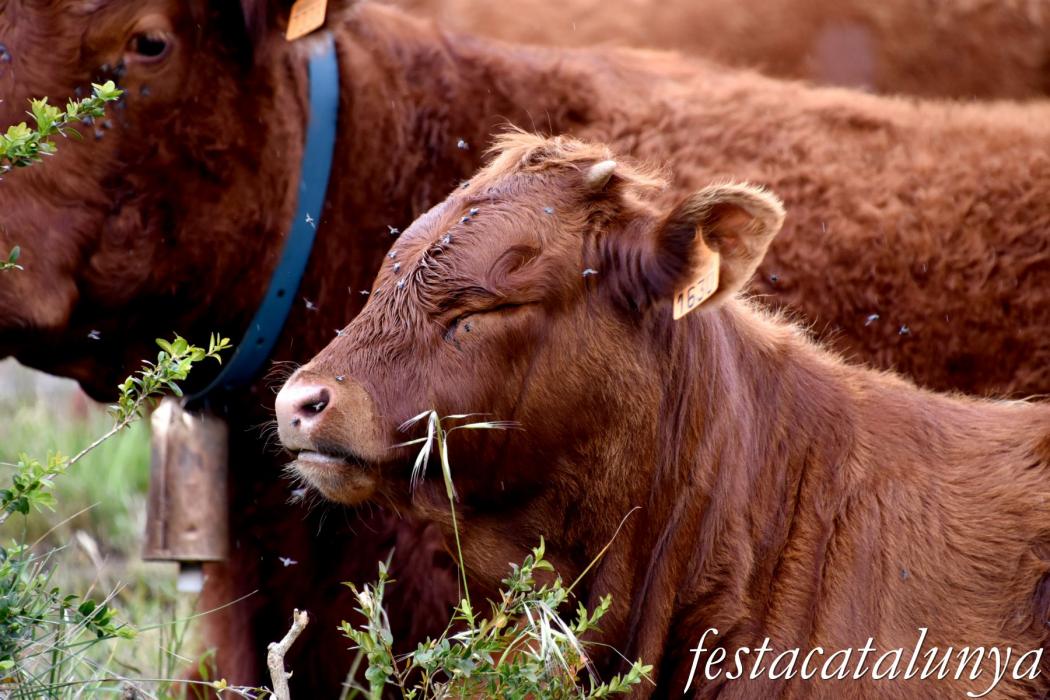 L'Esquirol - Espai natural Collsacabra